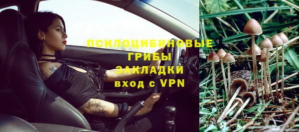 хмурый Киренск