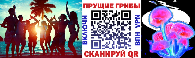 Галлюциногенные грибы Magic Shrooms  KRAKEN рабочий сайт  Сусуман 