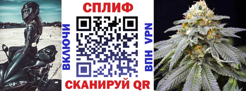 OMG вход цена Сусуман Бошки марихуана Amnesia